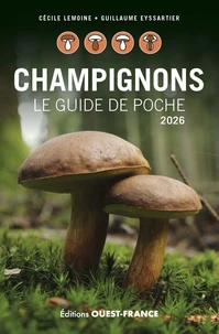 Champignons