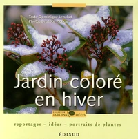 Jardin coloré en hiver