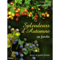 Splendeurs d'automne au jardin