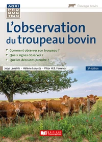 L'observation du troupeau bovin