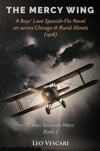 The Mercy Wing - A Boys’ Love Spanish-Flu Novel set across Chicago &amp; Rural Illinois (1918)