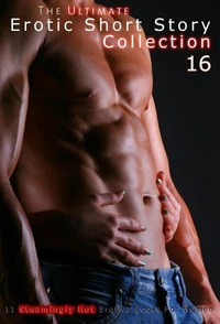 The Ultimate Erotic Short Story Collection 16: 11 Erotica Books