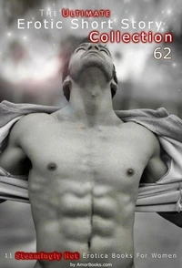 The Ultimate Erotic Short Story Collection 62: 11 Erotica Books