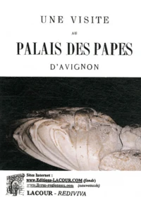 Une visite au palais des Papes d'Avignon