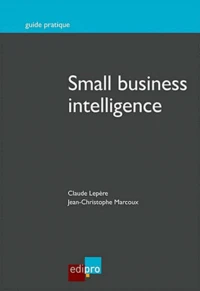 Small business intelligence