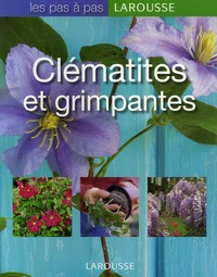 Clématites et grimpantes
