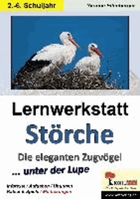 Lernwerkstatt Störche