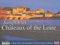 Sumptuous Châteaux of the Loire