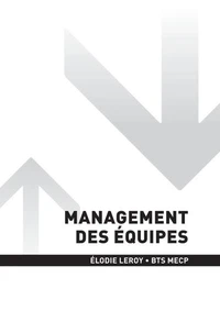 BTS MECP - U5A Management des équipes - 2e année