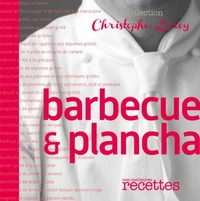 Barbecue et plancha