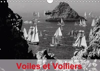 Voiles et Voiliers (Calendrier mural 2017 DIN A4 horizontal)
