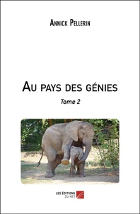Au pays des Génies Tome 2