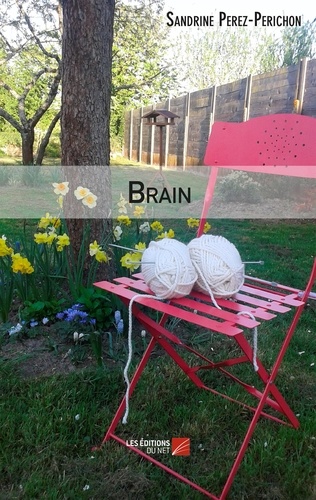 Sandrine Perez-Périchon - Brain.