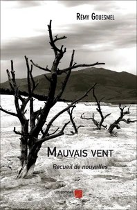 Mauvais vent