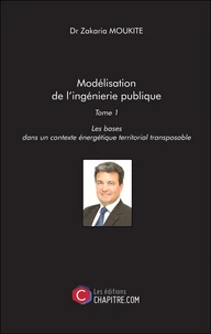 Modélisation de l'ingénierie publique - Tome 1