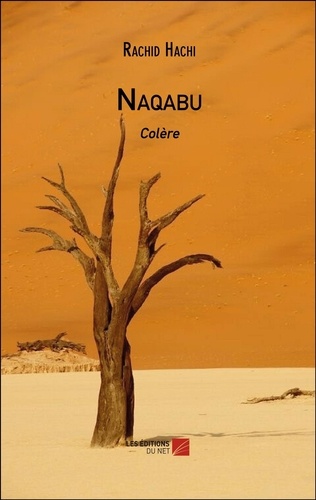 Rachid Hachi - Naqabu - Colère.