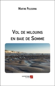 Martine Pellegrina - Vol de milouins en baie de Somme.