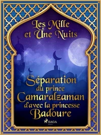 Séparation du prince Camaralzaman d’avec la princesse Badoure