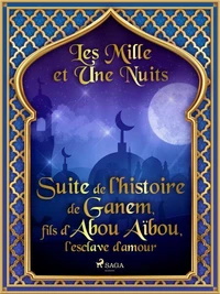Suite de l’histoire de Ganem, fils d’Abou Aïbou, l’esclave d’amour
