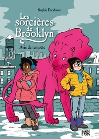 Les sorcières de Brooklyn, Tome 02 - Avis de tempête.