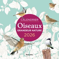 Calendrier Oiseaux grandeur nature
