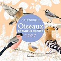 Calendrier Oiseaux grandeur nature