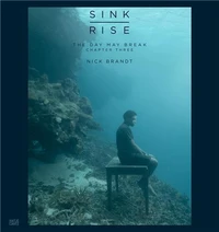 Nick Brandt Sink