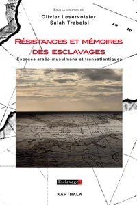 Résistances et mémoires des esclavages