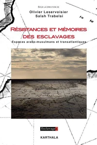Résistances et mémoires des esclavages