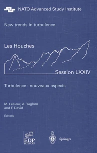 New trends in turbulence