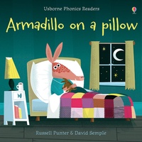 Lesley Sims - Armadillo on Pillow.