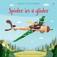 Lesley Sims - Spider in a glider.