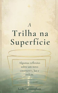 A Trilha na Superfície: Algumas reflexões sobre um novo casamento, luz e ordem
