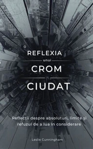 Reflexia unui crom ciudat : Reflecții despre absoluturi, limite și refuzul de a lua în considerare