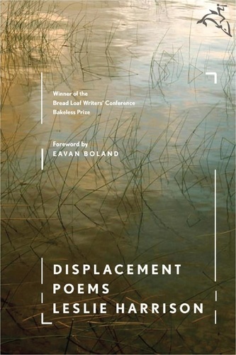 Leslie Harrison - Displacement.