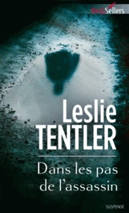 Dans les pas de l'assassin