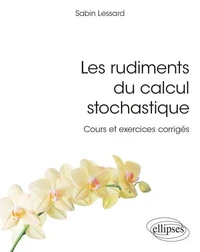 Les rudiments du calcul stochastique