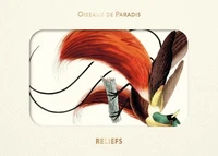 Oiseaux de Paradis