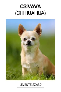 Csivava (Chihuahua)