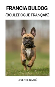 Francia Buldog (Bouledogue Français)