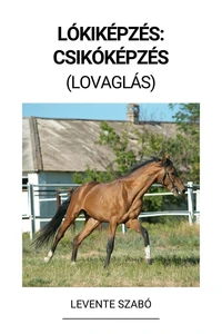 Lókiképzés: Csikóképzés (Lovaglás)