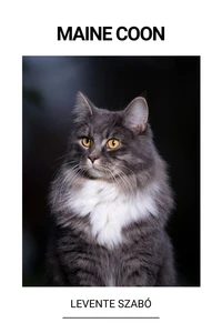 Maine Coon