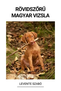 Rövidszőrű Magyar Vizsla