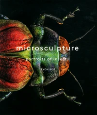 Microsculpture