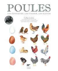 Poules. Les connaitre, les choisir