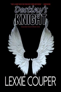 Destiny's Knight