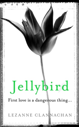 Jellybird. A chilling novel of childhood secrets, first love - and murder…