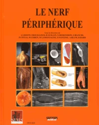Le nerf périphérique