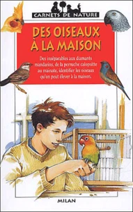 Des Oiseaux A La Maison