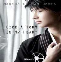 Like a Torn in my Heart